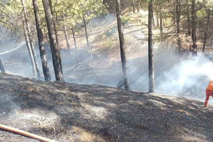 bingolde-cikan-orman-yangini-buyumeden-sonduruldu