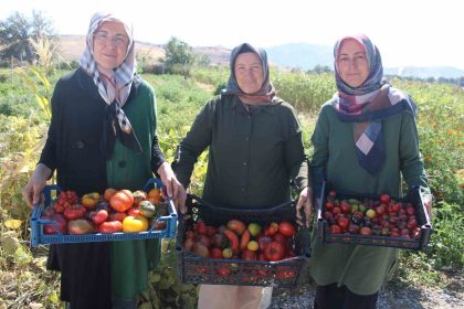 bu-bahcede-55-cesit-domates-22-cesit-biber-uretiliyor