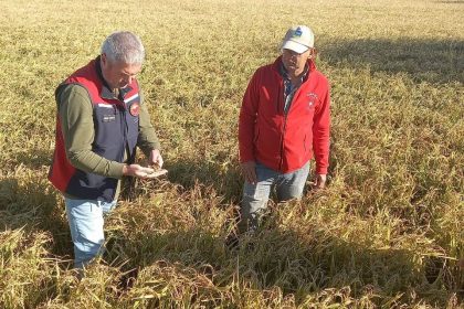 canakkalede-dolunun-ardindan-bahcelerde-hasar-tespit-calismalari-basladi