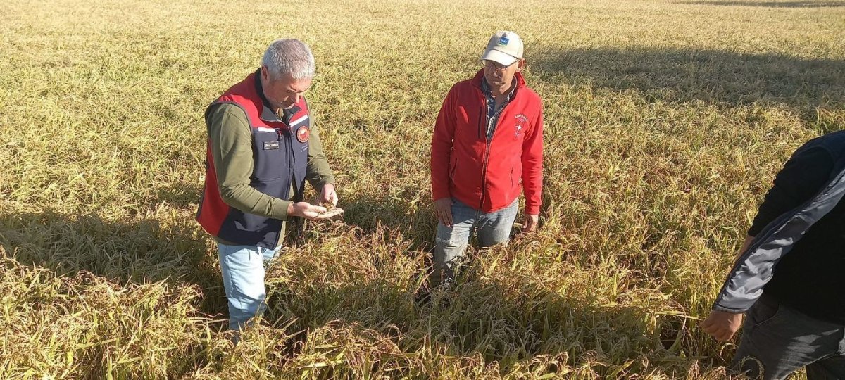 canakkalede-dolunun-ardindan-bahcelerde-hasar-tespit-calismalari-basladi