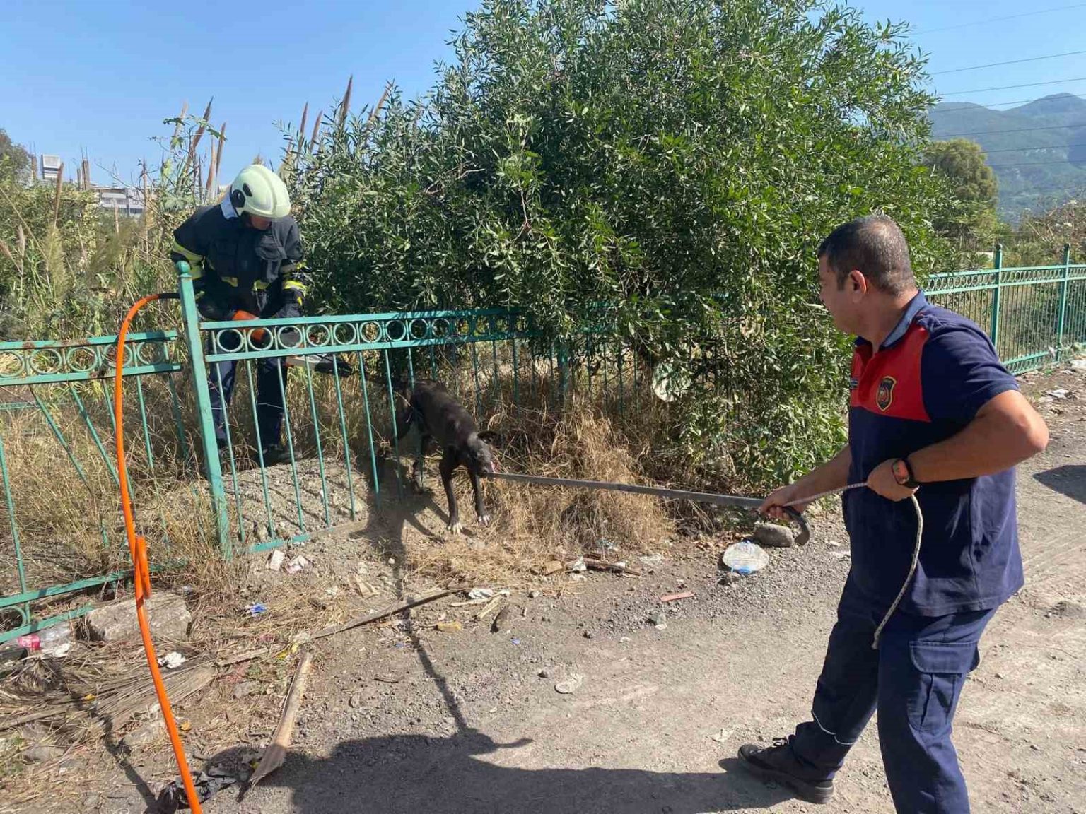 demir-korkuluga-sikisip-mahsur-kalan-kopegi-itfaiye-kurtardi