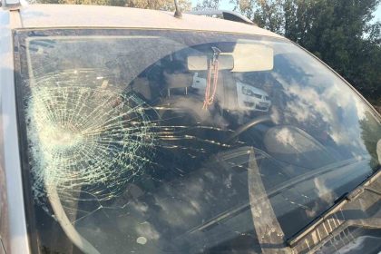 hafif-ticari-aracin-carptigi-yaya-yaralandi