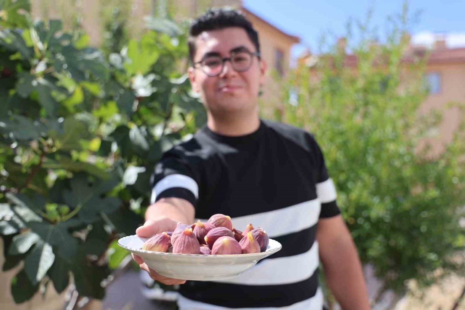 konyada-yetismesi-zor-bilinen-inciri-apartman-bahcesinde-yetistirdi