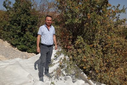 malatyada-sifa-deposu-alicta-hasat-devam-ediyor
