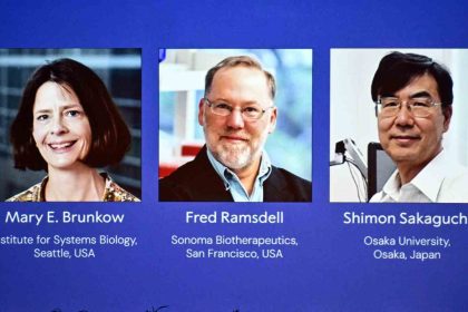 2025-nobel-tip-odulu-brunkow-ramsdell-ve-sakaguchinin-oldu