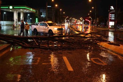 edirnede-saganak-yagis-ve-ruzgar-agaci-devirdi