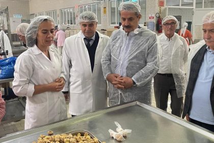 faruk-celikten-kardelen-kestane-sekerine-ziyaret