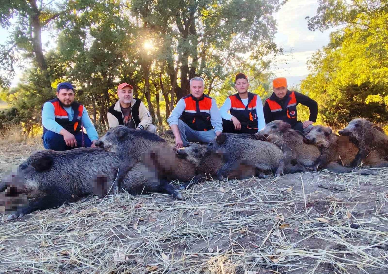 hisarcikli-avcilar-6-saatte-7-yaban-domuzu-vurdu