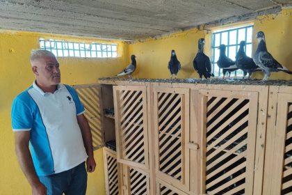 kayip-guvercinlerini-bulana-odulu-100-bin-liraya-cikardi