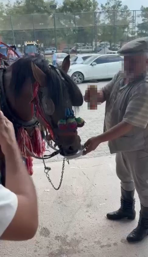 muglada-bu-kadari-olmaz-dedirten-goruntuler-fayton-ceken-ata-alkol-icirdiler