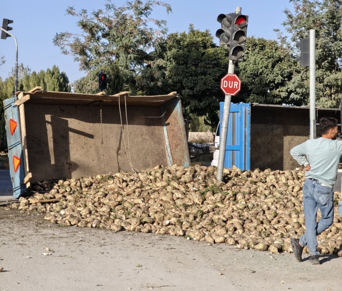 musta-seker-pancari-yuklu-traktor-devrildi