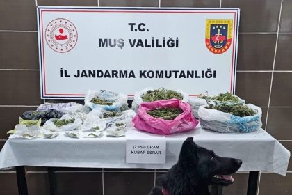 musta-uyusturucu-operasyonu-1-gozalti