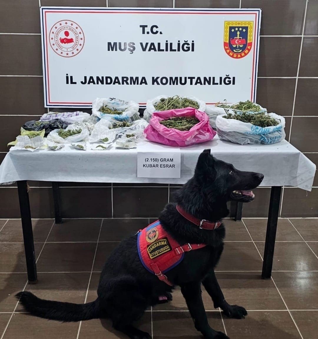 musta-uyusturucu-operasyonu-1-gozalti