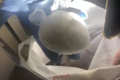 samsunda-1838-gram-uyusturucu-ele-gecirildi