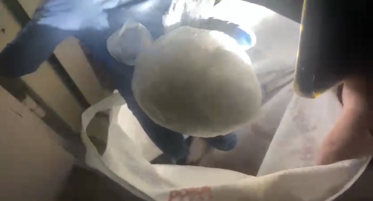 samsunda-1838-gram-uyusturucu-ele-gecirildi