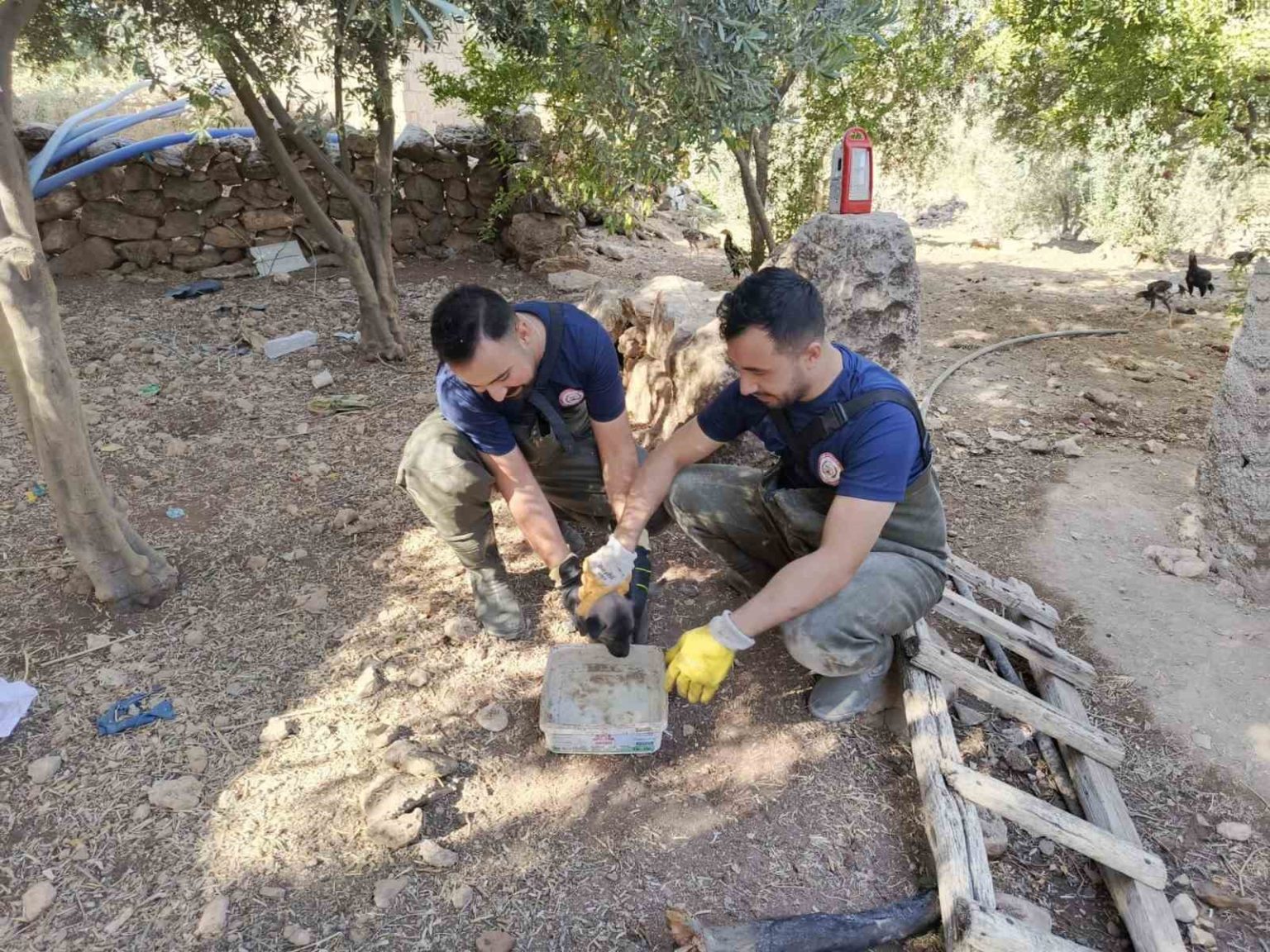 sanliurfada-foseptik-cukuruna-dusen-kopek-yavrusu-kurtarildi