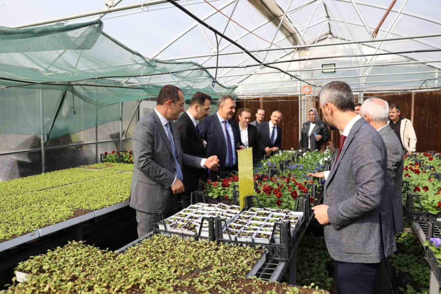 trabzonun-akcaabat-ilcesinde-tarimsal-uretime-destek-suruyor