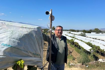 uzum-bagini-hirsizlara-karsi-kamera-ile-koruyor