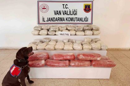 vanda-619-kilogram-skunk-ele-gecirildi