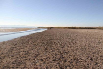 balikcilarin-ag-attigi-kuruyan-goldeki-toprak-parcalarinda-simdi-yuruyus-yapiliyor