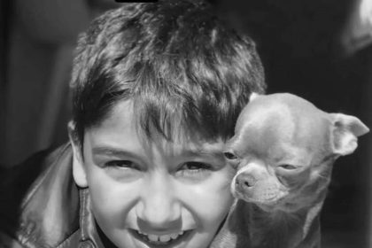 chpli-baskan-yardimcisinin-aracla-carptigi-cocuk-hayatini-kaybetti