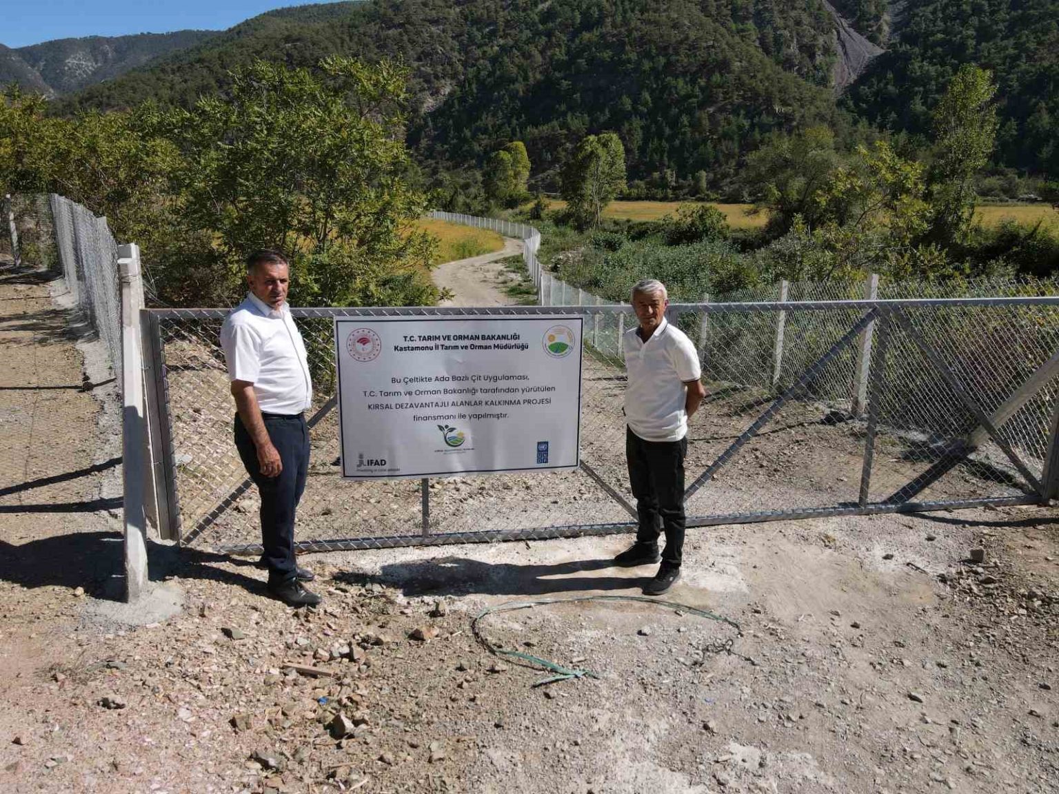 domuzlarin-talan-ettigi-celtik-tarlalari-devlet-destegiyle-yeniden-verimli-hale-getirildi