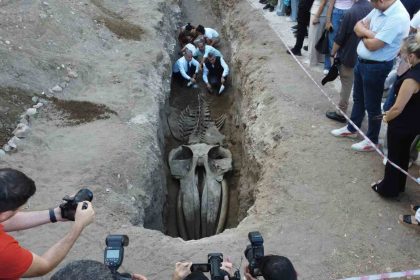 heyecanlandiran-kesif-16-metrelik-balinanin-kafatasi-ve-govdesi-tamamen-ortaya-cikti