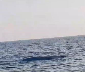 karadeniz-kiyilarinda-bir-insansiz-deniz-araci-suphesi-daha