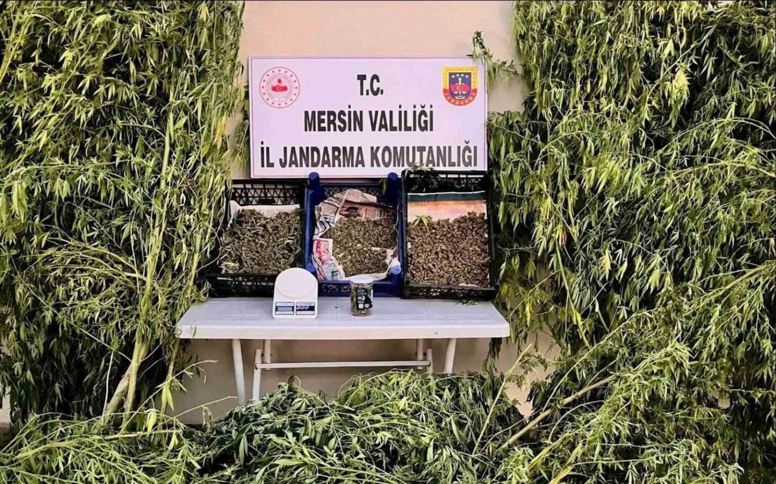 mersinde-uyusturucu-operasyonu