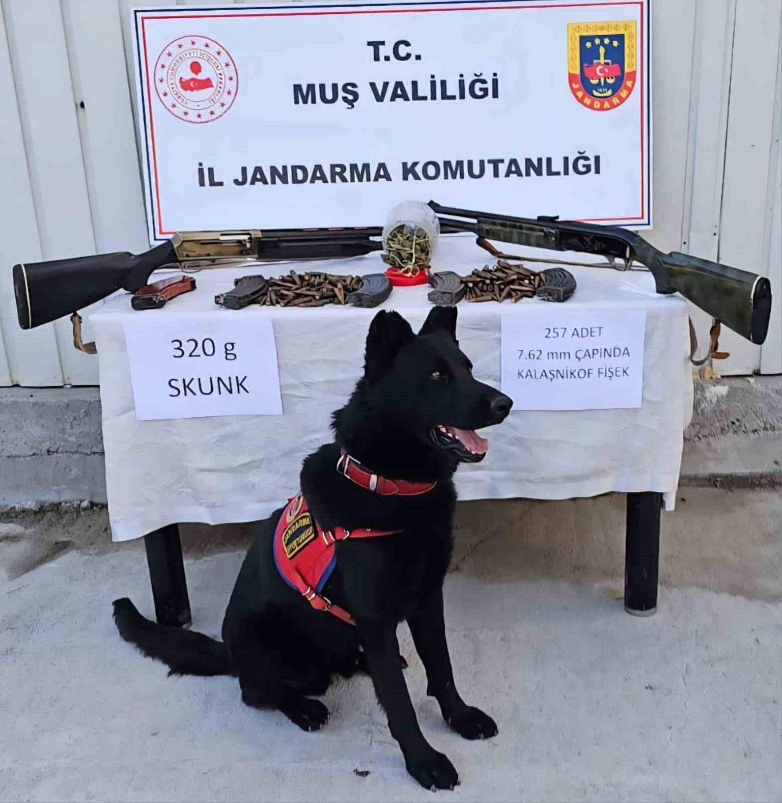musta-jandarmadan-uyusturucu-ve-silah-operasyonu