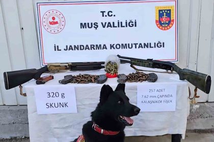 musta-jandarmadan-uyusturucu-ve-silah-operasyonu