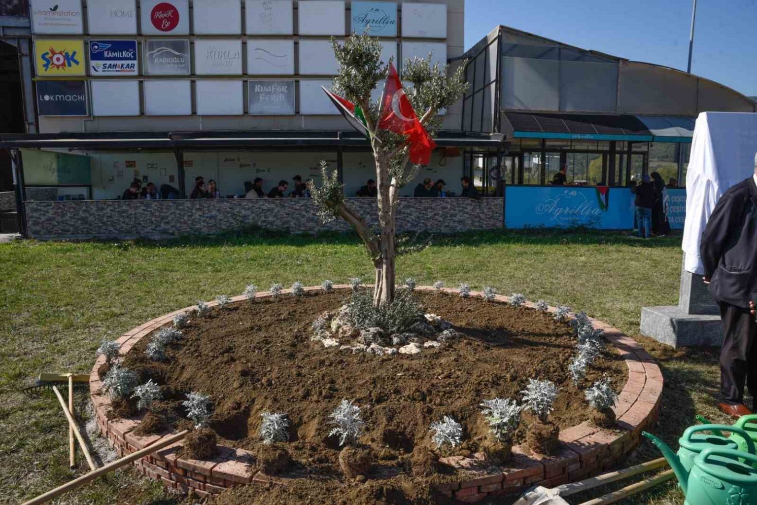 omude-filistin-icin-zeytin-agaci-aniti-dikildi