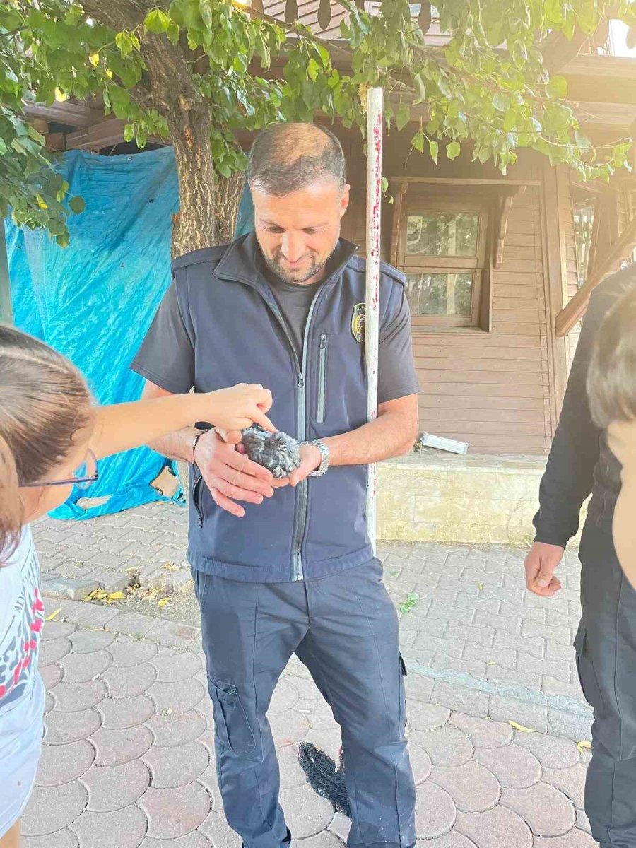 sivasta-boruya-sikisan-kusu-itfaiye-kurtardi