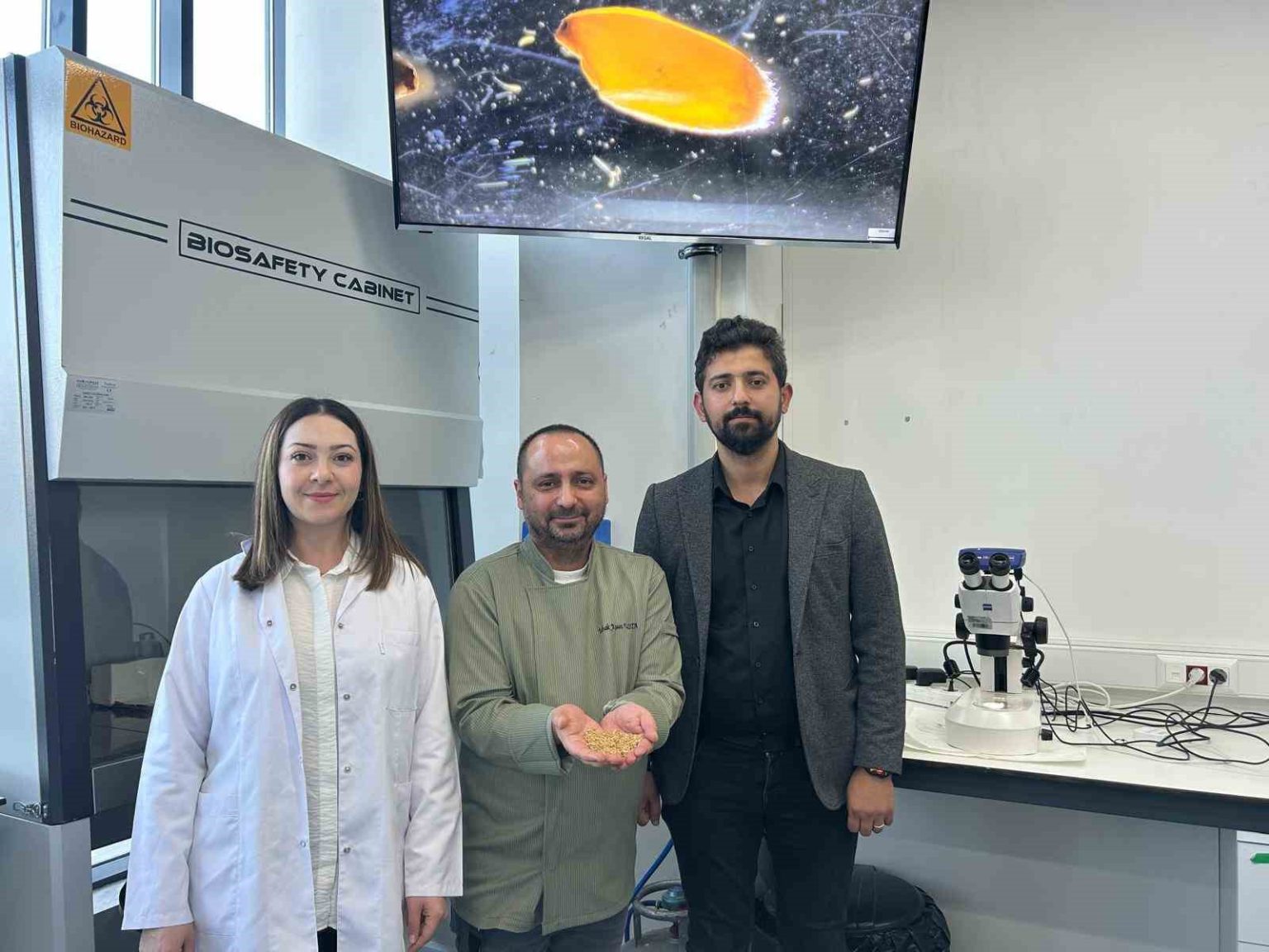 sivasta-yerli-zeron-bugdayindan-organik-bulgur-uretildi