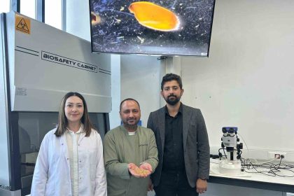 sivasta-yerli-zeron-bugdayindan-organik-bulgur-uretildi