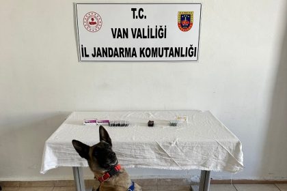 vanda-iran-uyruklu-sahsin-uzerinden-380-adet-sentetik-hap-ele-gecirildi