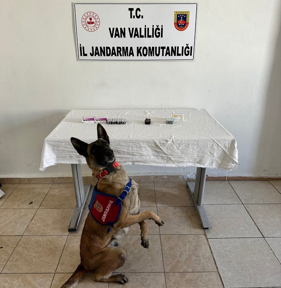 vanda-iran-uyruklu-sahsin-uzerinden-380-adet-sentetik-hap-ele-gecirildi