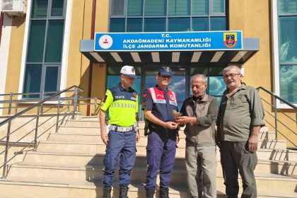 yozgatta-yarali-cakir-kusu-bulundu