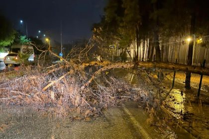 alanya-belediyesi-olumsuz-hava-sartlarina-karsi-teyakkuzda