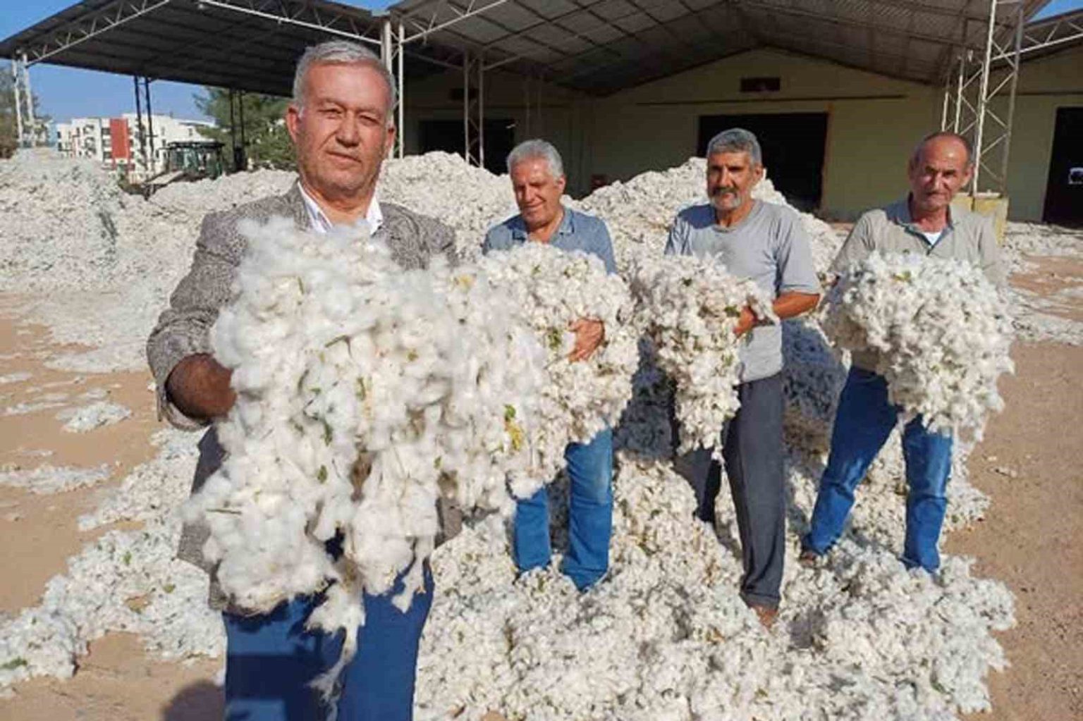 araban-ovasinda-makinali-pamuk-hasadi-buruk-basladi