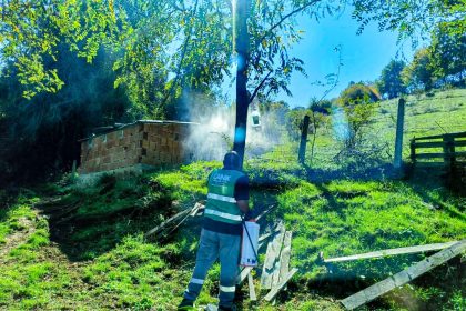 canikte-kahverengi-kokarca-ile-mucadele