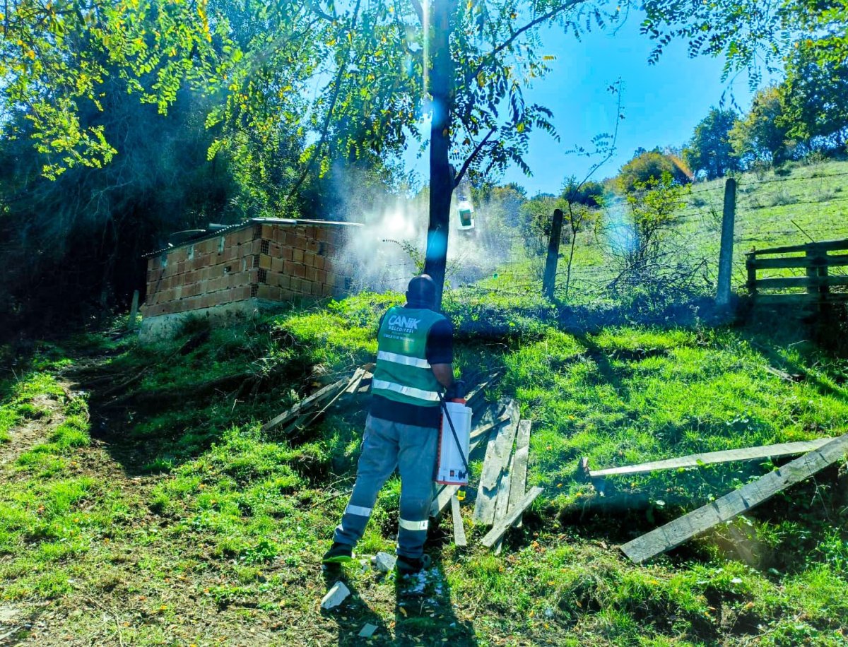 canikte-kahverengi-kokarca-ile-mucadele