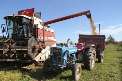 carsamba-ovasinda-celtik-hasadi