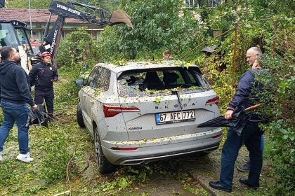 caycumada-park-halindeki-otomobilin-uzerine-agac-devrildi