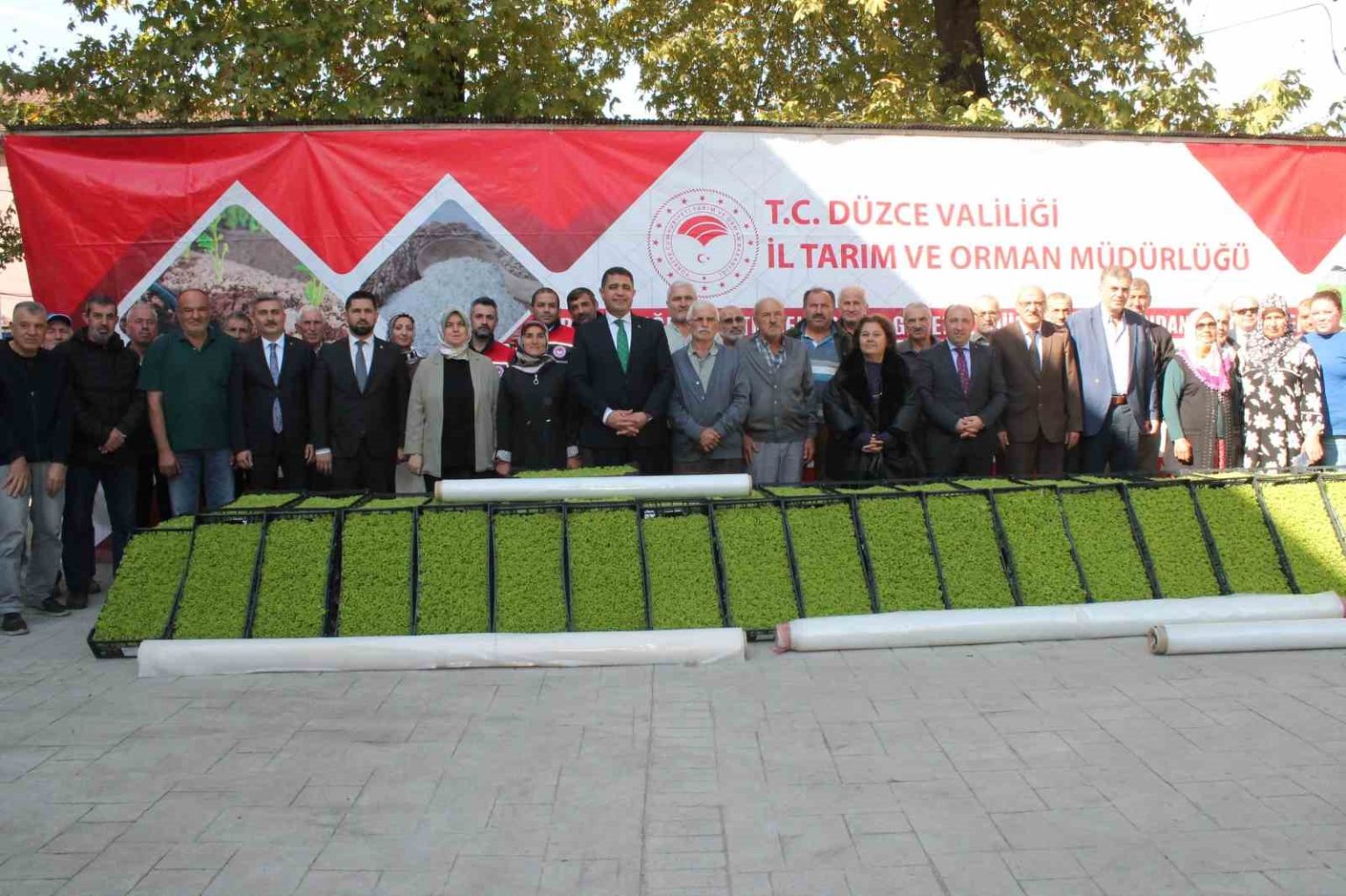 duzcede-yuzde-75-destekli-232-bin-500-adet-marul-fidesi-dagitildi