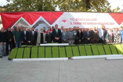 duzcede-yuzde-75-destekli-232-bin-500-adet-marul-fidesi-dagitildi