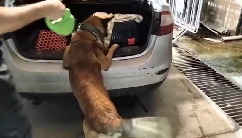 kedi-tasima-cantasinda-2-kilo-uyusturucu-ele-gecirildi