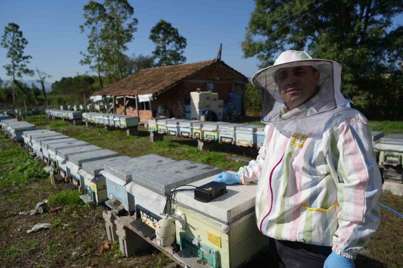 komiser-aricidan-bal-verimini-artiran-yerli-cihaz