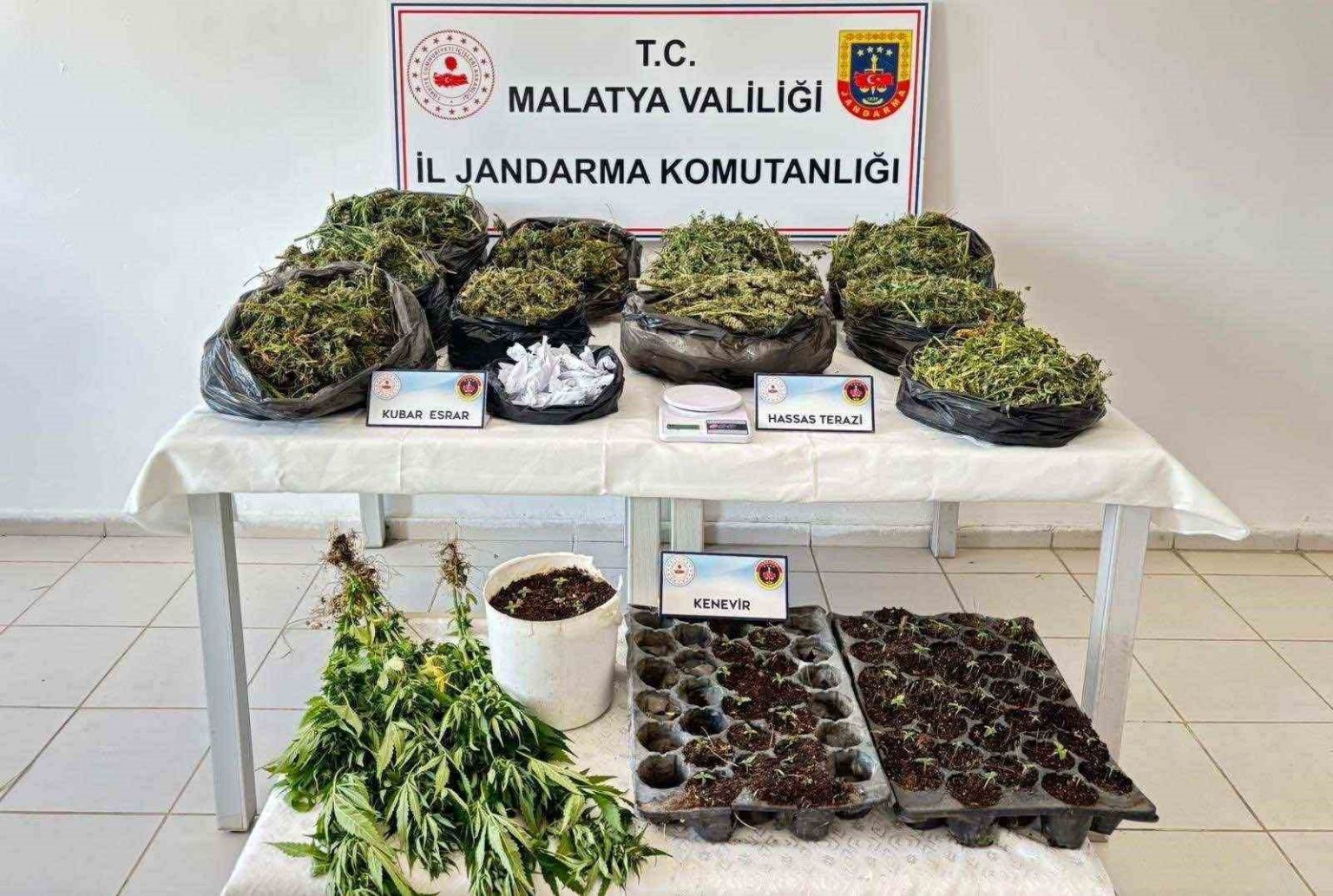 malatyada-13-kilo-esrar-ele-gecirildi-5-sahis-tutuklandi