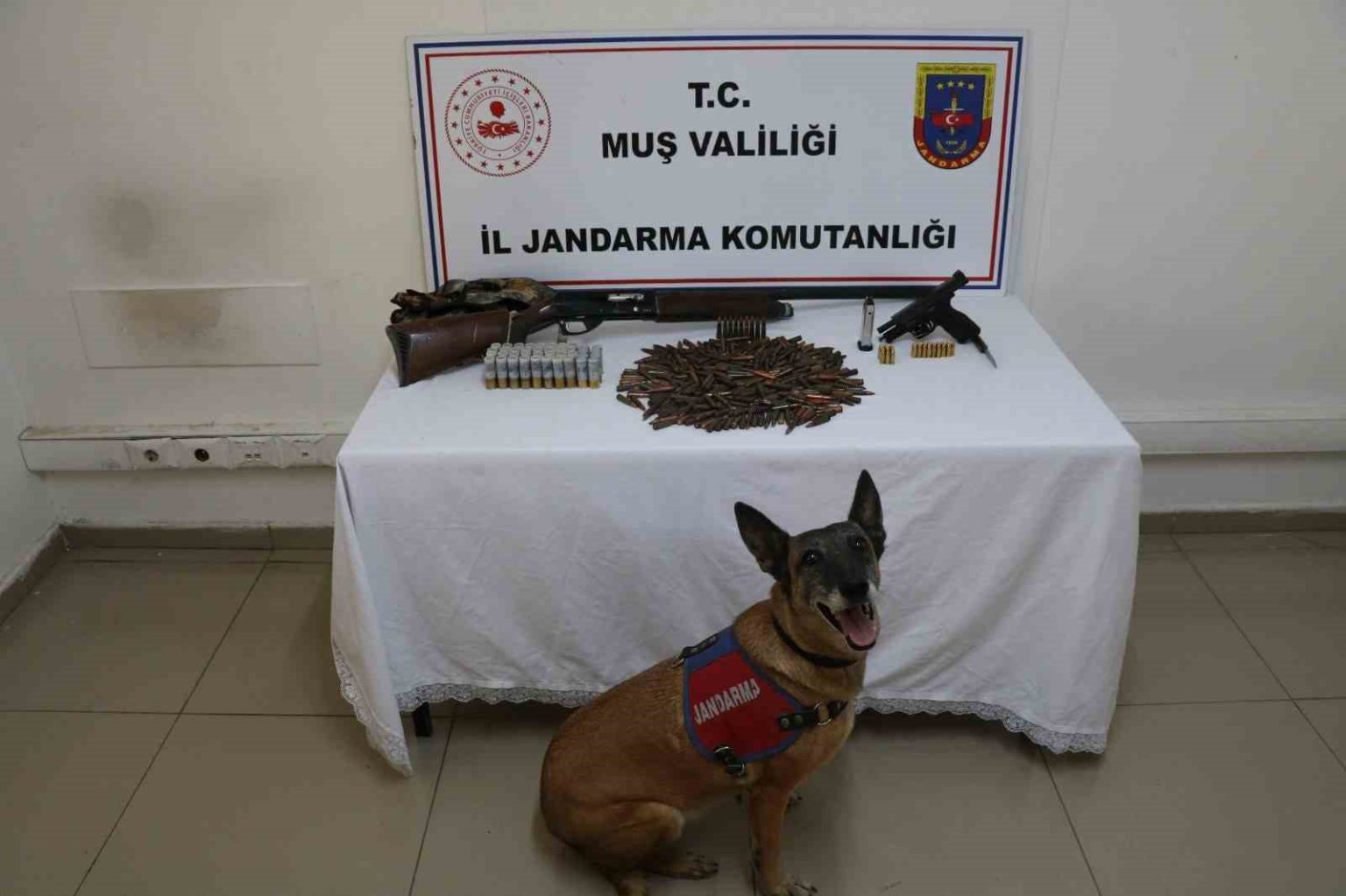 musta-tezek-yigininin-altindan-silah-ve-muhimmat-cikti